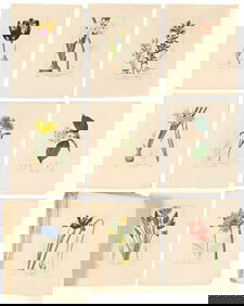 (BOTANICAL.) Jean Claude Michel Mordaunt de Launay. [Herbier General de l’Amateur].