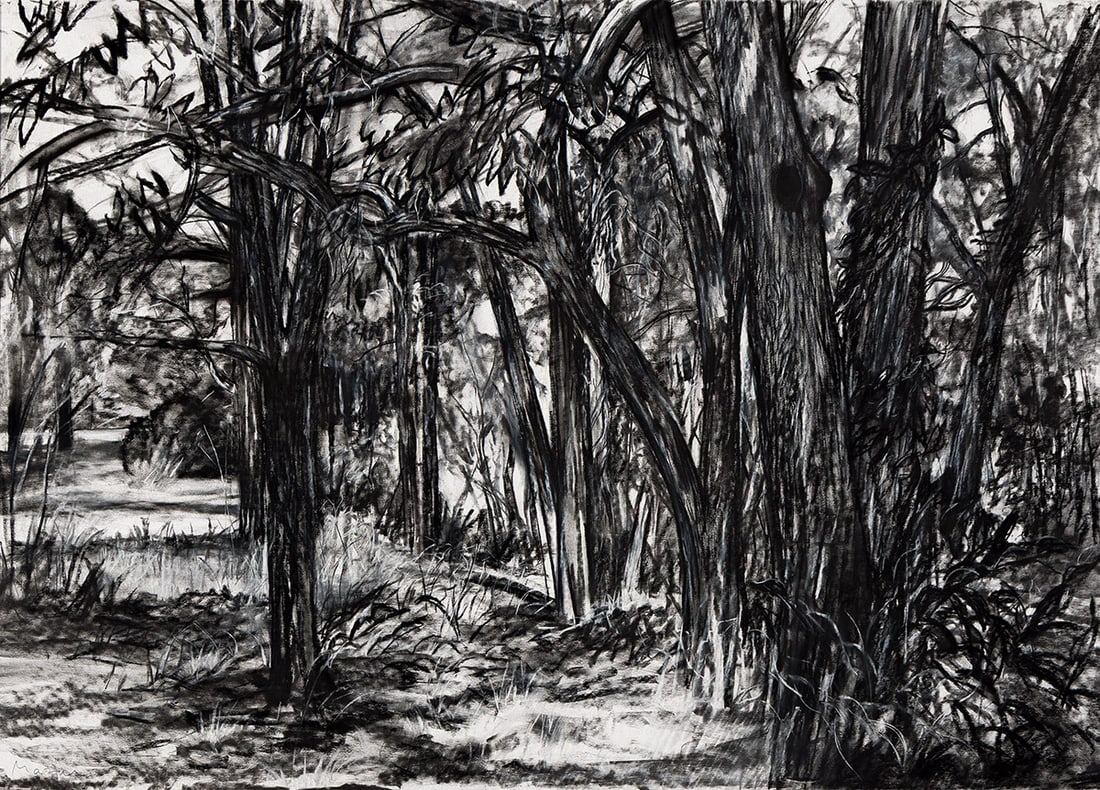 MICHAEL MAZUR (1935 - 2009) The Edge of the Woods.: MICHAEL MAZUR (1935 - 2009) The Edge of the Woods. Charcoal and pastel on heavy wove paper, circa 1984. 1076x1511 mm; 42⅜x59½ inches. Signed in pencil, lower left. Provenance Barbara Mathes