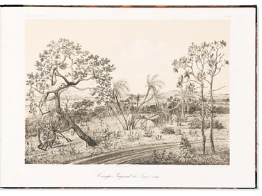 (BRAZIL.) Hermann Burmeister. Reise nach Brasilien durch die Provinzen von Rio de Janeiro und Minas