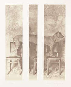 WILLIAM WEGMAN (1943 - ) Charitable.