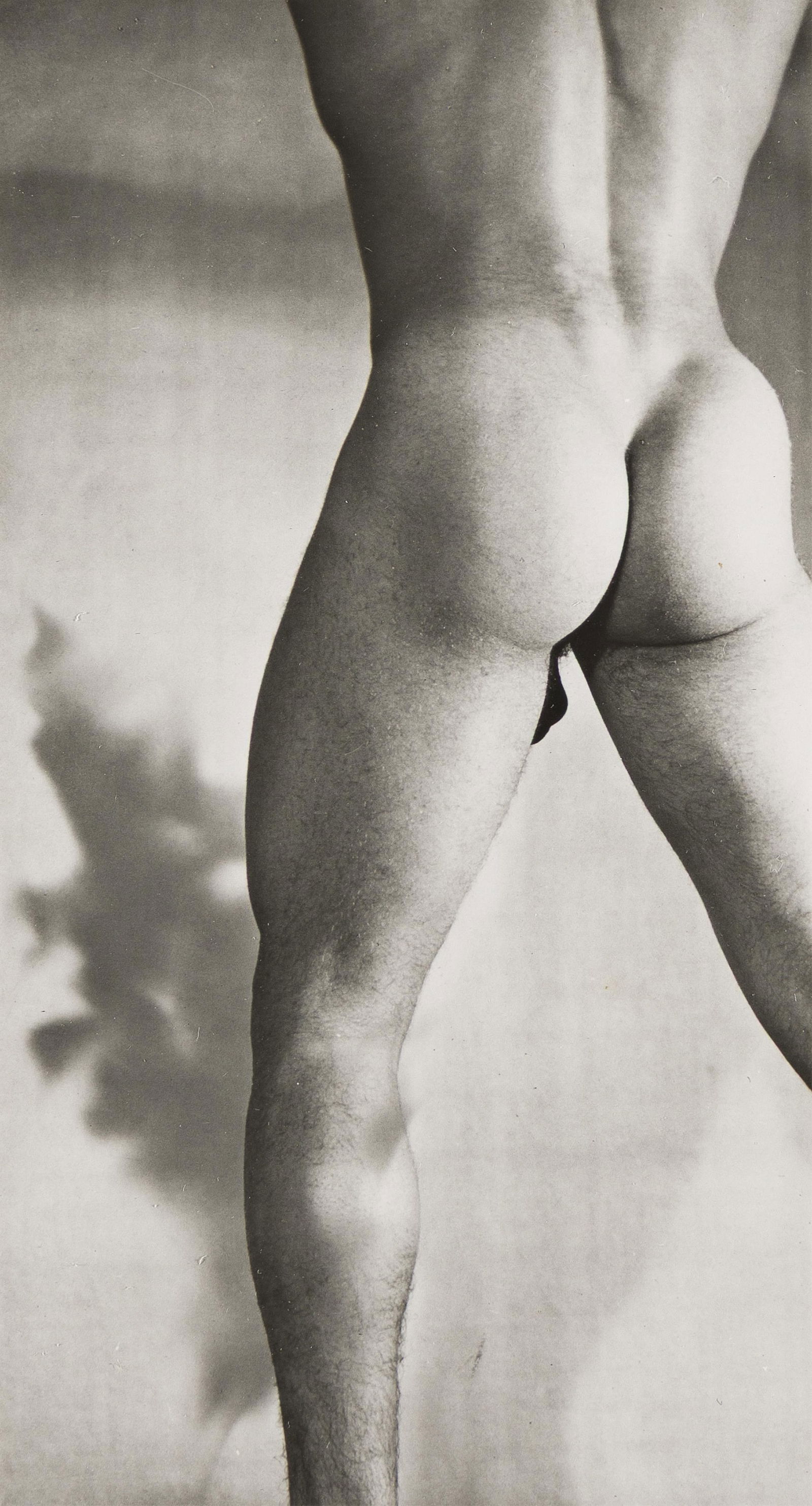 Minor White, Male Nude (Gino Cipolla, Portland). 1940; printed circa 1970.: Minor White1908-1976Male Nude (Gino Cipolla, Portland). 1940; printed circa 1970.Silver printWith White's initials and negative date in pencil on mount rectothe image 3 3/4 x 2 in. (9.5 x 5.1 cm.), th