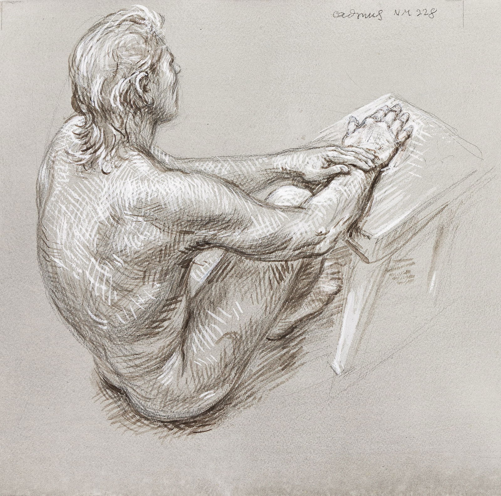 Paul Cadmus Seated Nude (NM 228). Circa 1980s.: Paul Cadmus1904-1999Seated Nude (NM 228). Circa 1980s.Pencil, sepia, and white watercolor on hand toned Arches paperSigned and inscribed "NM 228" in pencil, upper right.11 x 11 1/4 in. (27.9 x 28.6 cm