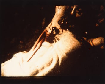 David Wojnarowicz, Fire in My Belly (Ants on Crucifix). 1990.