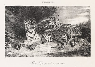 Eugène Delacroix, Jeune tigre jouant avec sa mère.. (1798-1863)