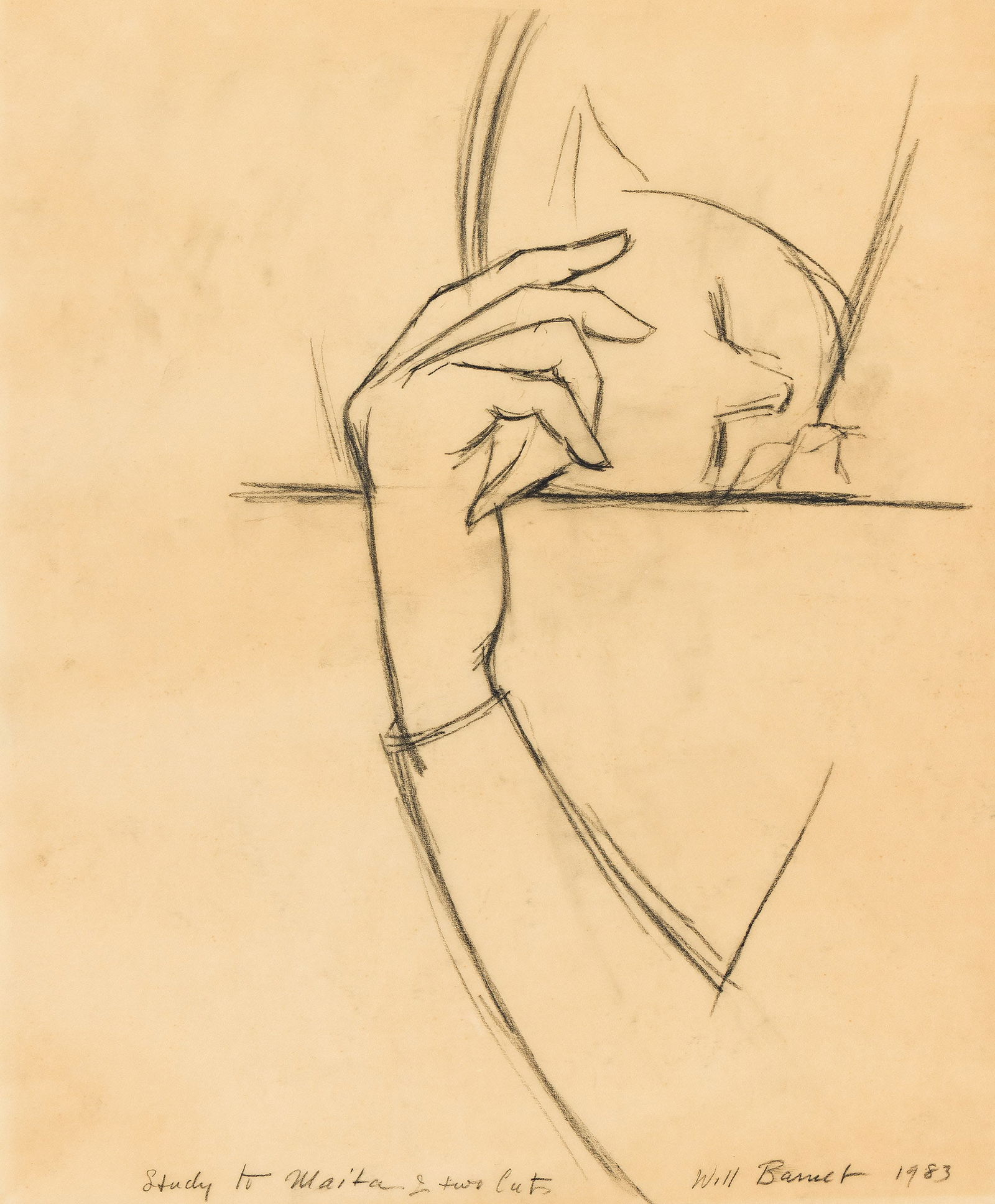 Will Barnet, Study for "Portrait of Martha".. (1911-2012): Will Barnet (1911-2012) Study for "Portrait of Martha". Charcoal on vellum, 1983. Signed, dated and inscribed "Study to Maita 2 two Cats" on the lower sheet edge. 16 3/4 x 13 7/8 in. (42.5 x 35.2 cm.)