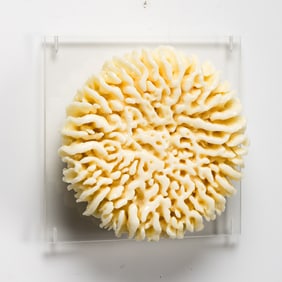 LeRone Wilson (1982-), (Light) RA, 2024.