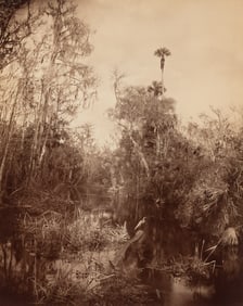 George Barker. Florida Landscape. 1886.
