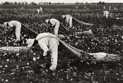 Danny Lyon. Cotton Pickers, Texas Prison, from Conversations with the Dead. Circa 1968.