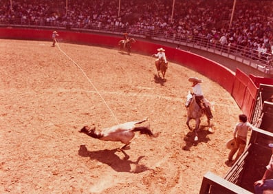 An archive of approximately 200 photographs of rodeo riders. 1980s.