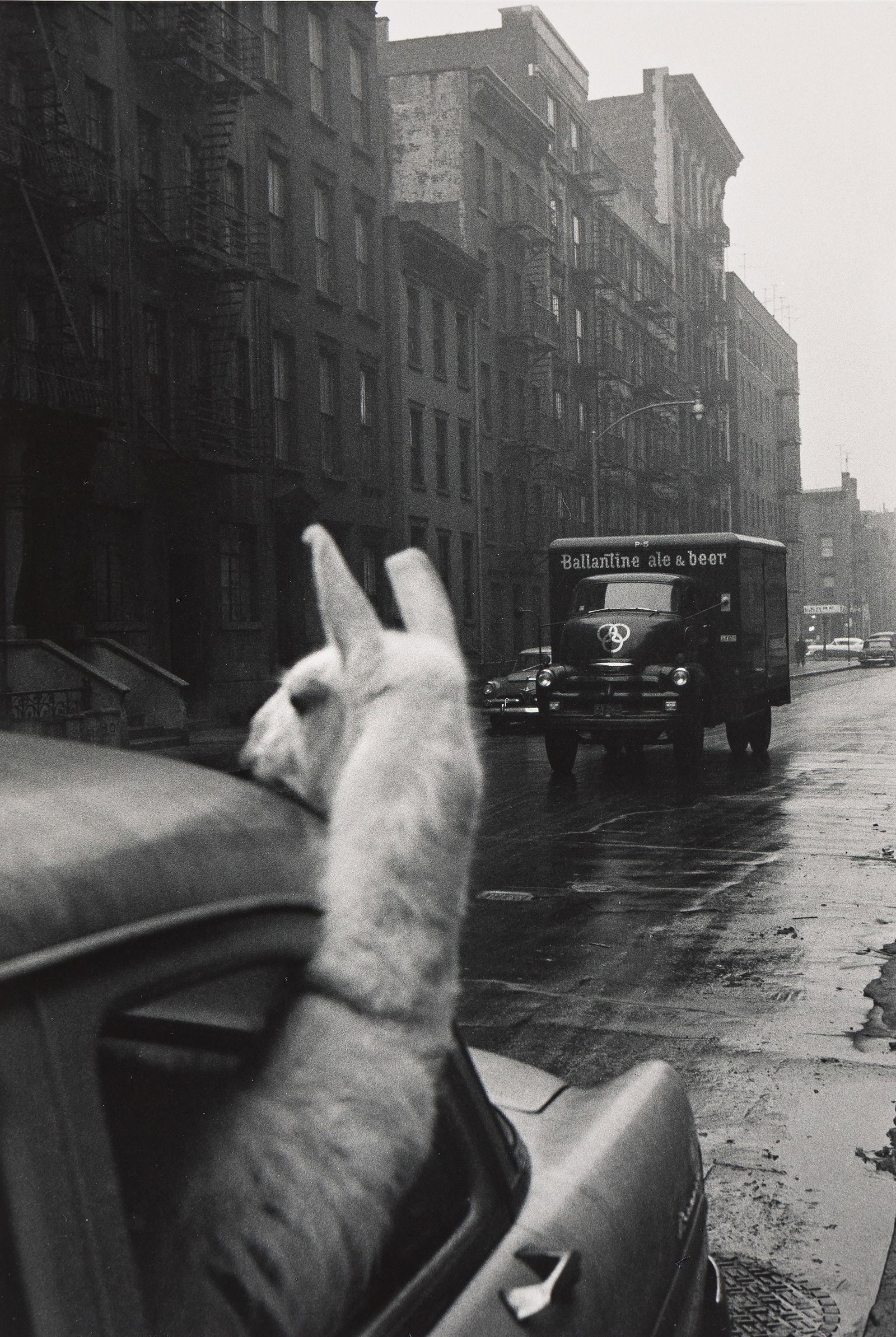 Inge Morath. A Llama in Times Square. 1957; printed 1970s.: Inge Morath1923-2002A Llama in Times Square. 1957; printed 1970s.Silver printWith Morath's credit stamp, and the partial title and a numeric notation in pencil on verso.The image 13 x 8 3/4 in. (33 x