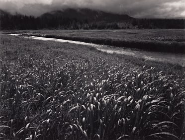 Ansel Adams. Rain, Beartrack Cove, Glacier Bay National Monument, Alaska. 1949.