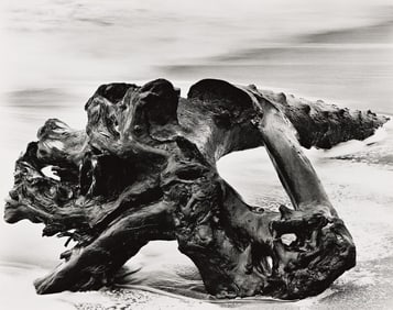 Wynn Bullock. Redwood Driftwood. 1951; printed circa 1960.