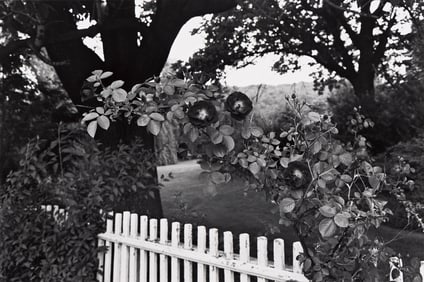 Lee Friedlander. Pomona, NY. 1977.