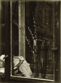 Josef Sudek. Pussy Willows, from the series The Window of My Studio. 1940-54; printed 1960s.