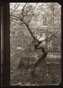 Josef Sudek. Untitled, from the series The Window of My Studio. 1940-54; printed 1960s.