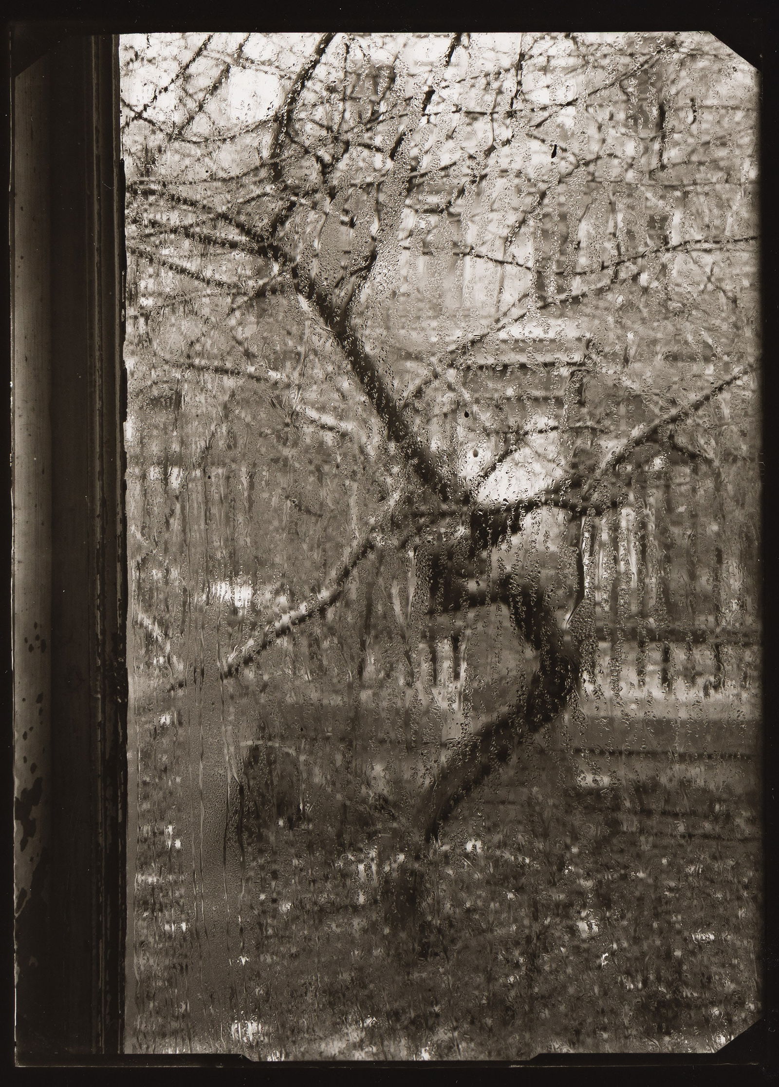 Josef Sudek. Untitled, from the series The Window of My Studio. 1940-54; printed 1960s. (1 of 1)
