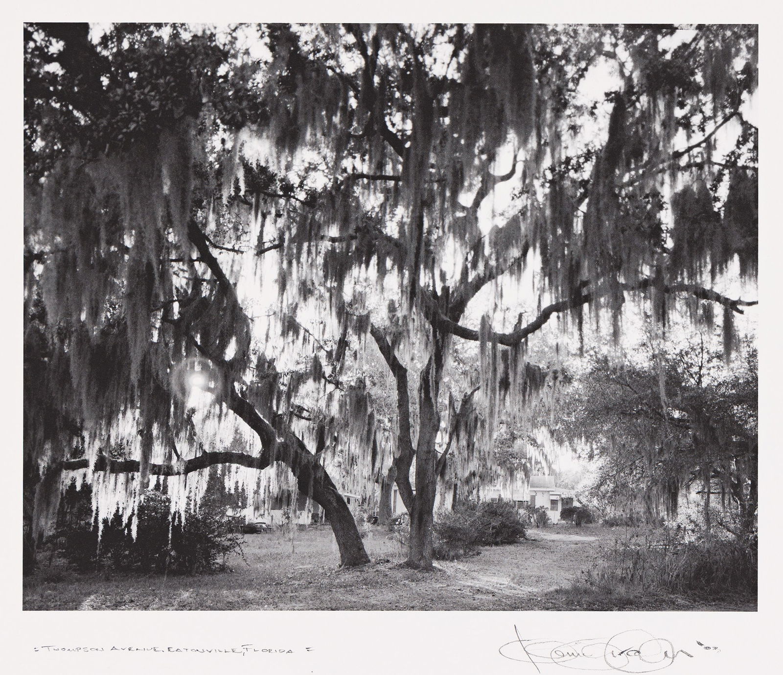 The Eatonville Portfolio. 2003.: The Eatonville Portfolio, complete with 4 works by Dawoud Bey, Lonnie Graham, Carrie Mae Weems, and Deborah Willis. 2003.Inkjet printsThe Graham with the artist's signature, title, and date in pencil