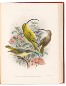 Lionel Walter Rothschild. The Avifauna of Laysan and the Neighboring Islands: with a Complete