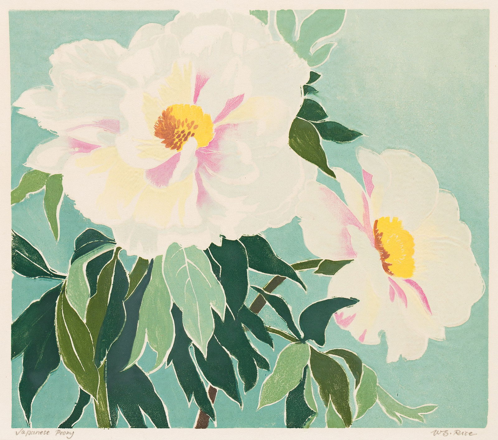 William S. Rice (1873-1963), Japanese Peony, circa 1930. (1 of 1)