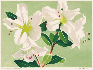 William S. Rice (1873-1963) Azalea, circa 1940.