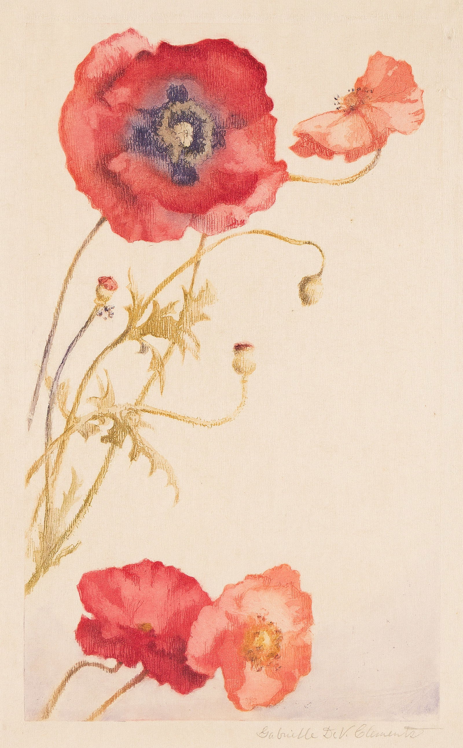 Gabrielle DeVeaux Clements (1858-1948) Poppies. (1 of 1)