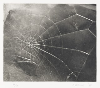 Vija Celmins (b. 1938), Spider Web, 2009.