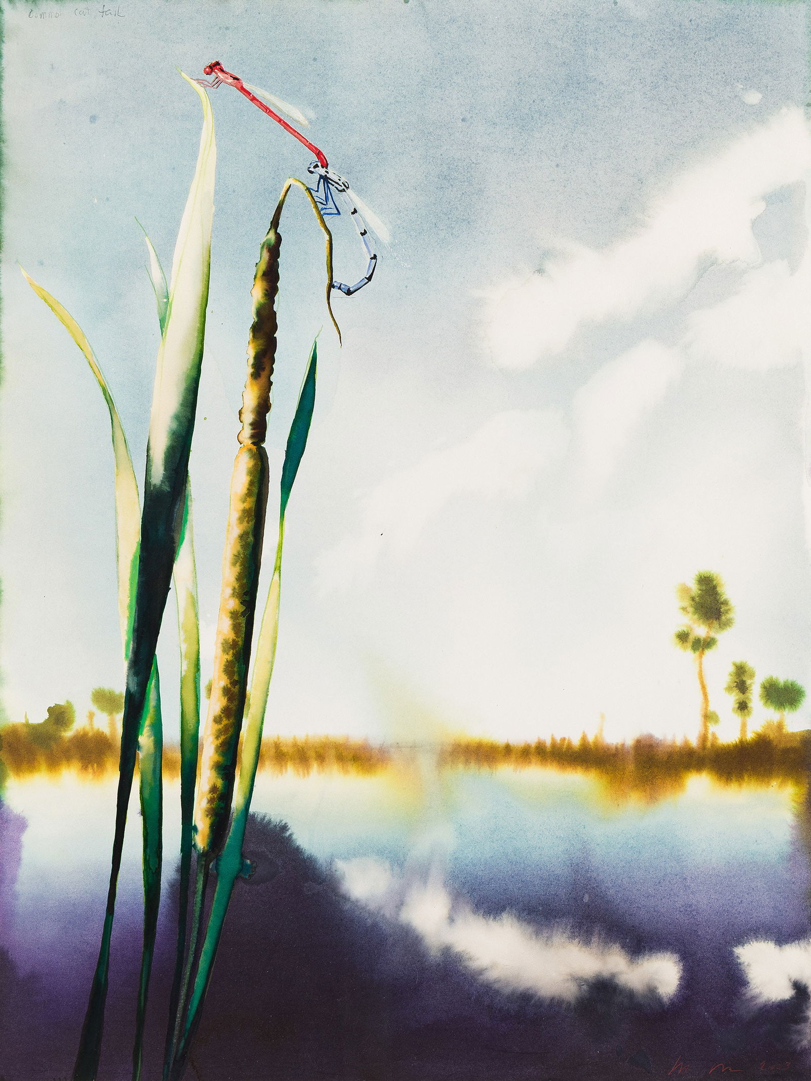 Alexis Rockman (b. 1962), Untitled (Common Cattail), 2003.: Alexis Rockman(b. 1962)Untitled (Common Cattail).Watercolor on wove paper, 2003.Signed and dated in red pencil, lower right, and inscribed "Common Cattail" in pencil, upper left.24 x 18 in. (61.1 x 46