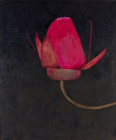 Jo Self (b. 1956), Amazonian Waterlily Bud, 2001.