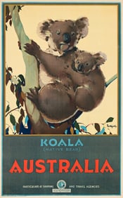 James Northfield. Australia / Koala. 1931.