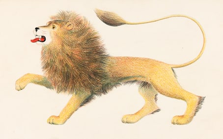 William Pène du Bois, (1916-1993), Lion portrait. 1956.