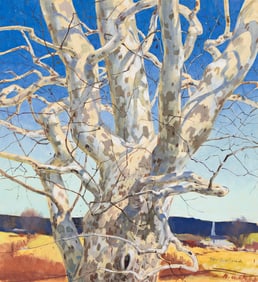 Tore Asplund, (1903-1978), November Sycamore. 1960.