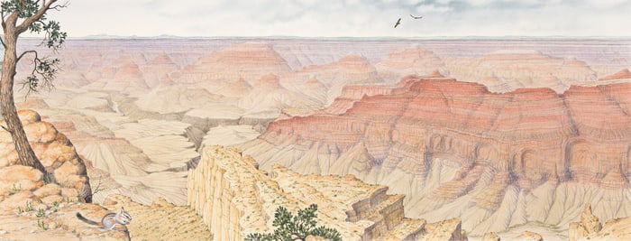 Peter Barrett, (b. 1935), Group of 3 wildlife illustrations. 2008.