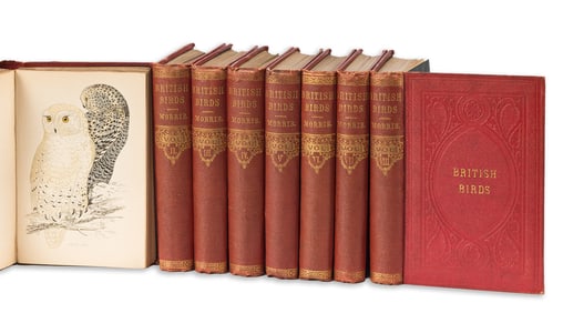 (BIRDS.) Rev. Francis Orpen Morris. A History of British Birds. London: Groombridge and Sons, circa