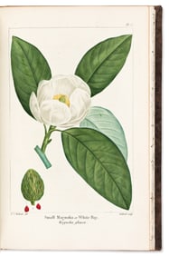 (BOTANICAL.) Francois Andrew Michaux. The North American Sylva, or a Description of the Forest Trees