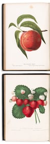(BOTANICAL -- POMOLOGY.) Charles Mason Hovey; and William Sharp. The Fruits of America... Boston and