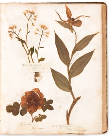 (BOTANICAL -- SPECIMEN BOOK.) Np, circa 1850s through the early twentieth century