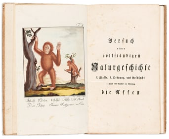 (NATURAL HISTORY -- MONKEYS.) Vinzenz Kinzl. Versuch einer Vollstandigen Naturgeschichte... die