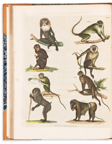 (NATURAL HISTORY.) Georges Louis LeClerc, Comte de Buffon; and William Smellie, ed. A Natural