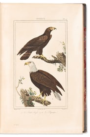 (NATURAL HISTORY.) Georges Louis LeClerc, Comte de Buffon. [Ouvres Completes de Buffon - Plates