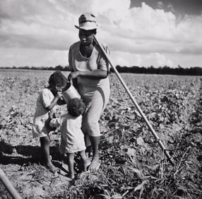 Marion Post Wolcott. Woman giving her two children water while hoeing cotton, Allen Plantation