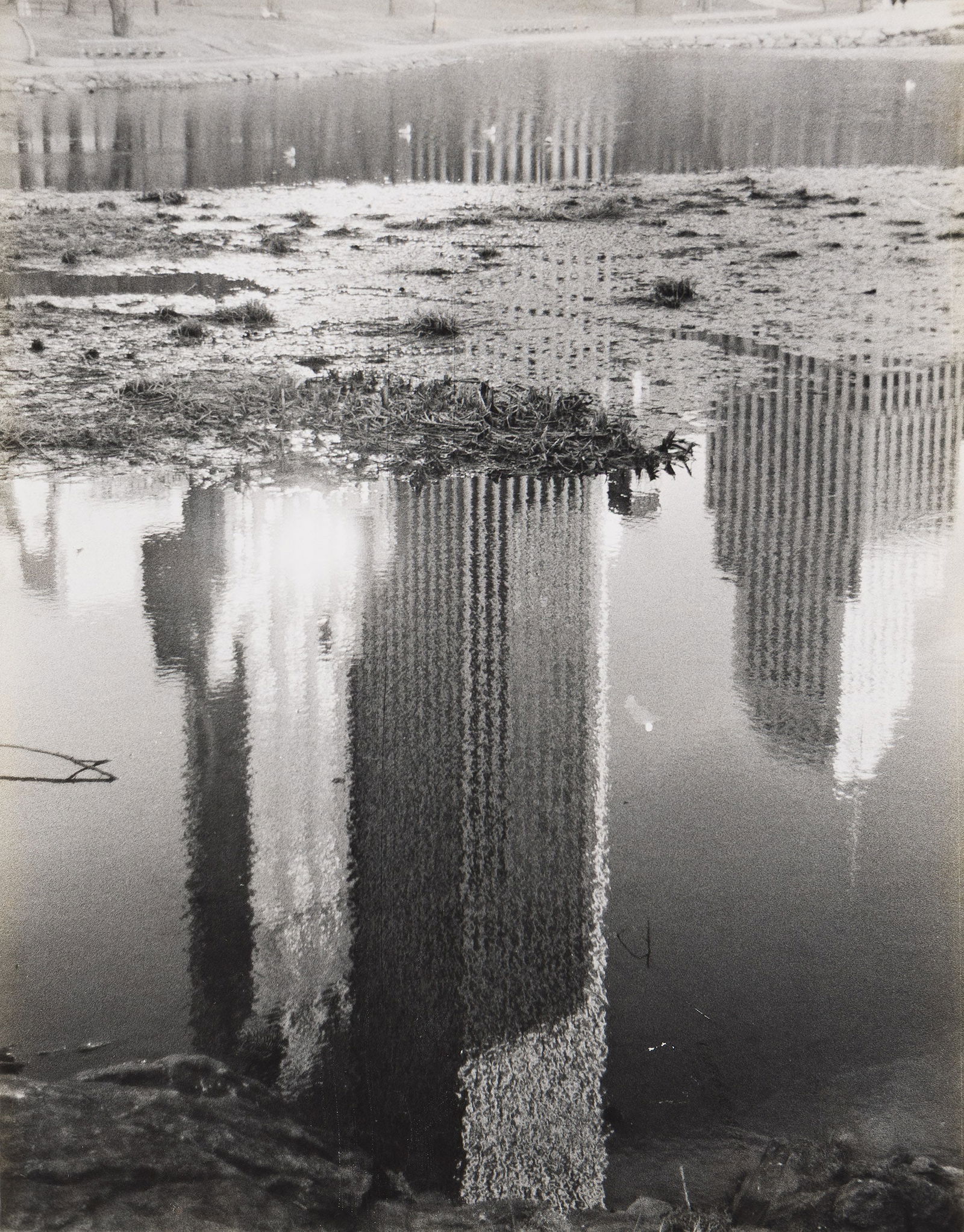 Louis Faurer. Central Park, N.Y. 1977.: Louis Faurer1916-2001Central Park, N.Y. 1977.Silver printWith Faurer' signature, title, and date in pencil on verso.The image 8 7/8 x 6 7/8 in. (22.5 x 17.5 cm.) Provenance:Gift from the P