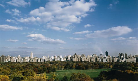 Ruth Orkin. Sheep Meadow in Fall, Central Park. 1980; printed 1983.