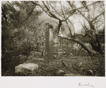 Josef Sudek. Rothmayer's Garden, from the series In the Magical Garden. 1954.