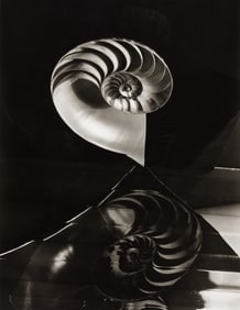 Carlotta M. Corpron. Space Composition with Chambered Nautilus. 1948; printed circa 1970.