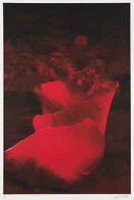 Gordon Parks. Flowerscape. 1995.