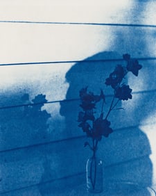 John Patrick Dugdale. Shadow Self Portrait and Delphinium, Stone Ridge. 1996.