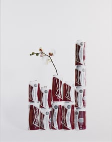 Hanna Liden. Can Development. 2014.