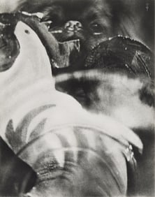 Pierre Dubreuil. Mon Pékinois. 1929.