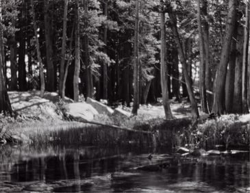 Ansel Adams. Forest and Stream, Lyell Fork of the Merced River, Yosemite National Park California.