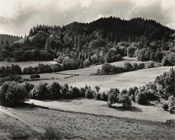 Edward Weston. Eel River Ranch * North Shore, Point Lobos * Cypress, Point Lobos. 1937; 1944 (2).